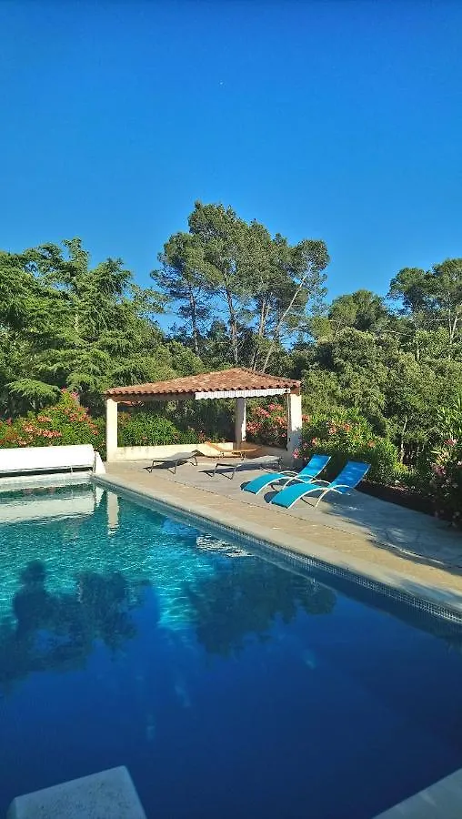 Lorgues, La Tourelle, Immense Piscine, Plongeoir, Vue, Au Grand Calme Villa Frankrijk