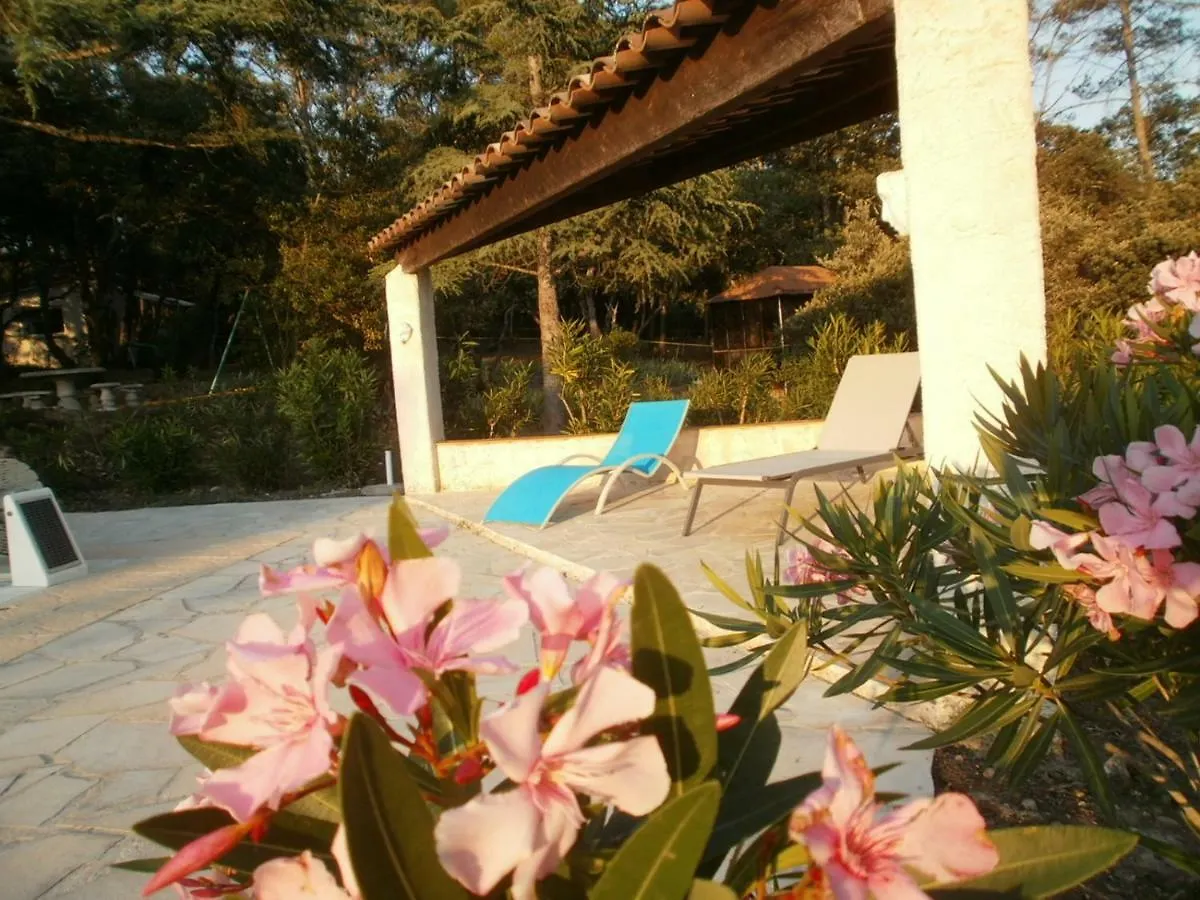 Vakantiehuis Lorgues, La Tourelle, Immense Piscine, Plongeoir, Vue, Au Grand Calme Villa